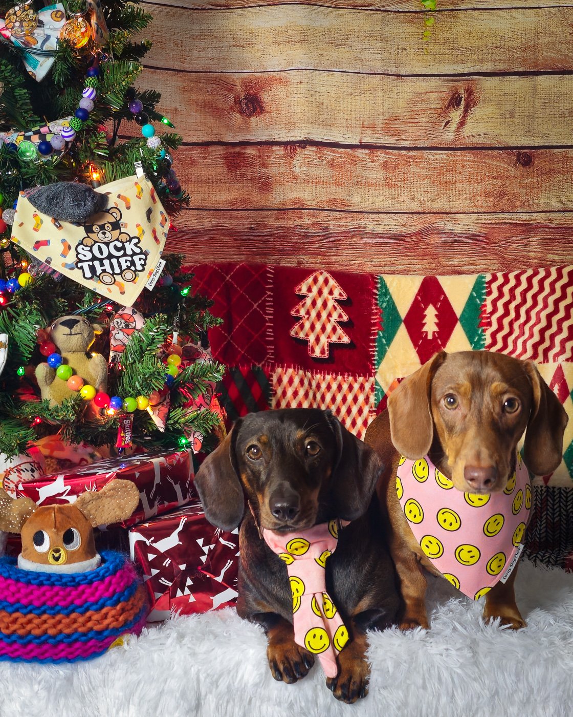 Two dachshunds styled for the holidays wearing a smiley face neck tie and bandana beside a decorated Christmas tree, Windy City Tailz holiday outfit photo.