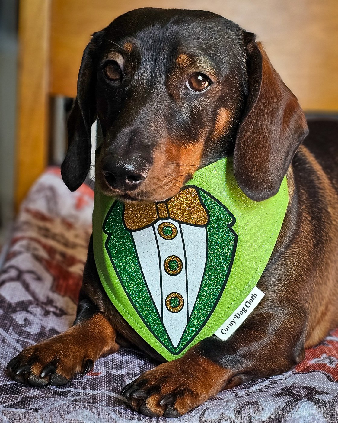 A dachshund lying on a patterned blanket wearing a green St. Patrick’s Day bandana, Windy City Tailz seasonal photo.