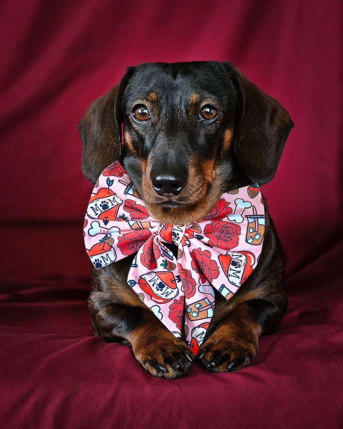 Louis wears a pink Valentine sailor bow with roses, hearts, and Mom’s BFF illustrations against a deep red backdrop, Windy City Tailz Valentine photo.