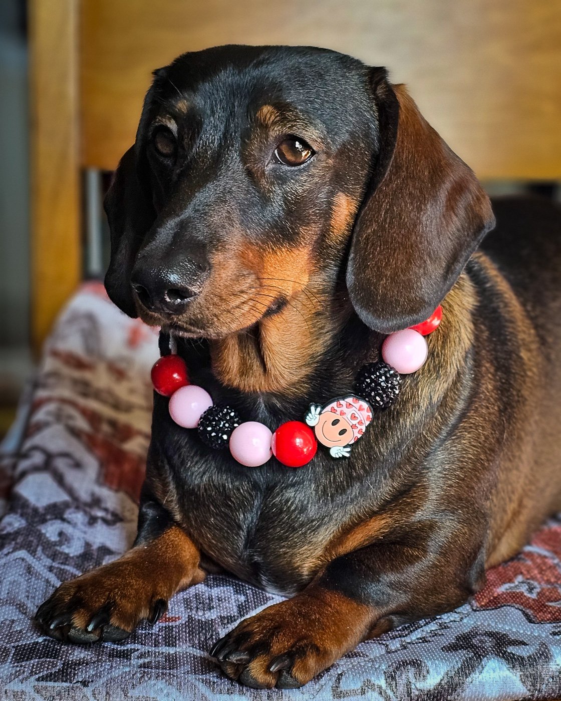 A dark chocolate dachshund lying on a patterned blanket wearing a pink, red, and black beaded collar with a heart charm, Windy City Tailz styled photo.