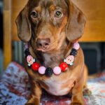 A red dachshund sitting on a patterned blanket wearing a pink, red, and black beaded collar with heart charms, Windy City Tailz styled photo.