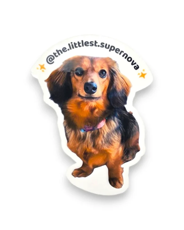 Long haired dachshund custom pet sticker with photo die-cut design. Windy City Tailz sticker photo.