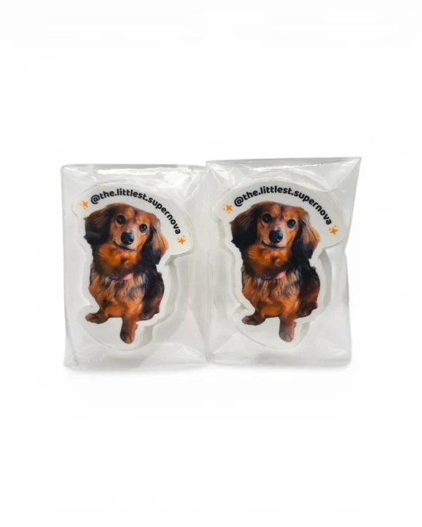 Custom pet sticker order packaged and ready to ship. Windy City Tailz sticker photo.