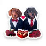 Two dachshunds in tuxedos on a custom pet sticker with Valentine's Day design. Windy City Tailz sticker photo.
