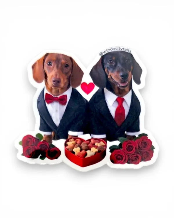 Two dachshunds in tuxedos on a custom pet sticker with Valentine's Day design. Windy City Tailz sticker photo.